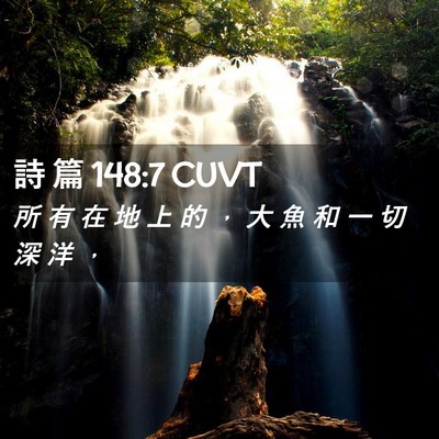 Picture 02 - 詩 篇 148:7 CUVT - 所 有 在 地 上 的 ， 大 魚 和 一 切 - Bible Verse Picture