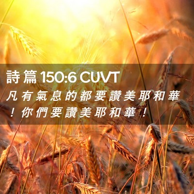 Picture 02 - 詩 篇 150:6 CUVT - 凡 有 氣 息 的 都 要 讚 美 耶 和 華 - Bible Verse Picture