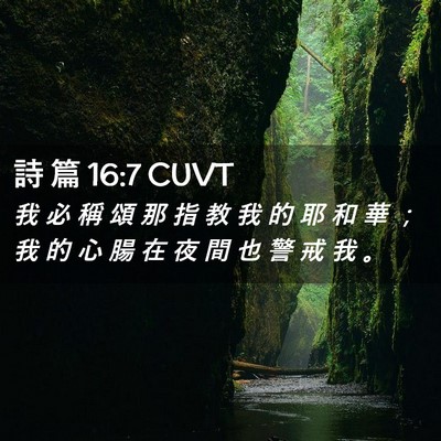 Picture 02 - 詩 篇 16:7 CUVT - 我 必 稱 頌 那 指 教 我 的 耶 和 華 - Bible Verse Picture