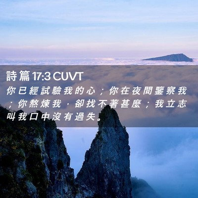 Picture 02 - 詩 篇 17:3 CUVT - 你 已 經 試 驗 我 的 心 ； 你 在 夜 - Bible Verse Picture