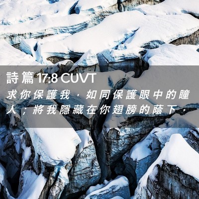 Picture 02 - 詩 篇 17:8 CUVT - 求 你 保 護 我 ， 如 同 保 護 眼 中 - Bible Verse Picture