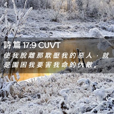 Picture 02 - 詩 篇 17:9 CUVT - 使 我 脫 離 那 欺 壓 我 的 惡 人 ， - Bible Verse Picture