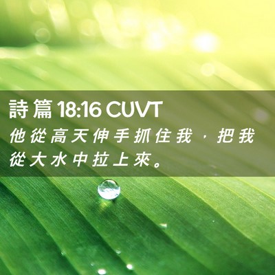 Picture 02 - 詩 篇 18:16 CUVT - 他 從 高 天 伸 手 抓 住 我 , 把 我 - Bible Verse Picture