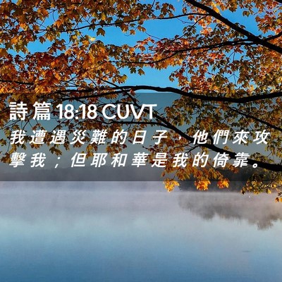 Picture 02 - 詩 篇 18:18 CUVT - 我 遭 遇 災 難 的 日 子 ， 他 們 來 - Bible Verse Picture