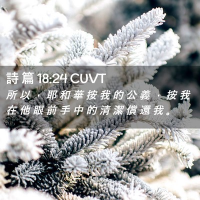 Picture 02 - 詩 篇 18:24 CUVT - 所 以 ， 耶 和 華 按 我 的 公 義 ， - Bible Verse Picture