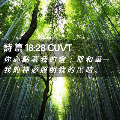 Picture 02 - 詩 篇 18:28 CUVT - 你 必 點 著 我 的 燈 ； 耶 和 華 ─ - Bible Verse Picture