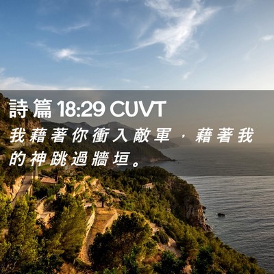 Picture 02 - 詩 篇 18:29 CUVT - 我 藉 著 你 衝 入 敵 軍 ， 藉 著 我 - Bible Verse Picture
