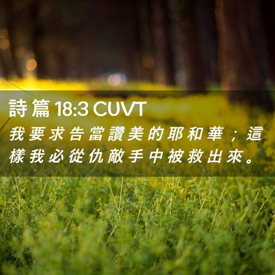 Picture 02 - 詩 篇 18:3 CUVT - 我 要 求 告 當 讚 美 的 耶 和 華 ； - Bible Verse Picture