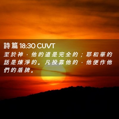 Picture 02 - 詩 篇 18:30 CUVT - 至 於 神 ， 他 的 道 是 完 全 的 ； - Bible Verse Picture