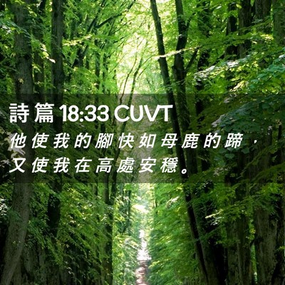 Picture 02 - 詩 篇 18:33 CUVT - 他 使 我 的 腳 快 如 母 鹿 的 蹄 ， - Bible Verse Picture