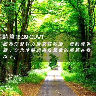 Picture 02 - 詩 篇 18:39 CUVT - 因 為 你 曾 以 力 量 束 我 的 腰 ， - Bible Verse Picture