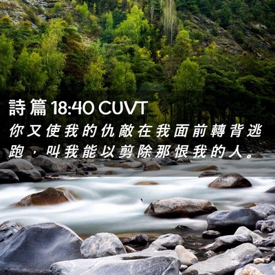 Picture 02 - 詩 篇 18:40 CUVT - 你 又 使 我 的 仇 敵 在 我 面 前 轉 - Bible Verse Picture