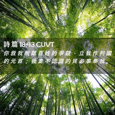 Picture 02 - 詩 篇 18:43 CUVT - 你 救 我 脫 離 百 姓 的 爭 競 ， 立 - Bible Verse Picture