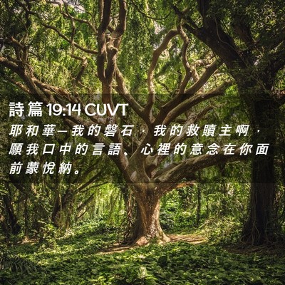 Picture 02 - 詩 篇 19:14 CUVT - 耶 和 華 ─ 我 的 磐 石 ， 我 的 救 - Bible Verse Picture
