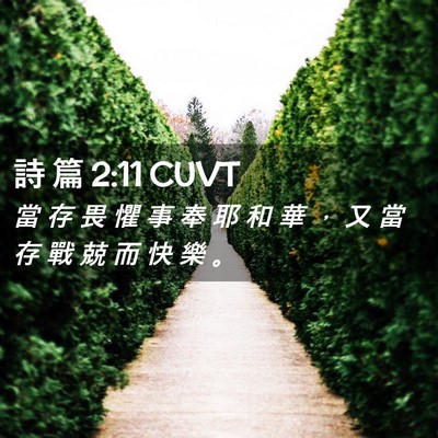 Picture 02 - 詩 篇 2:11 CUVT - 當 存 畏 懼 事 奉 耶 和 華 ， 又 當 - Bible Verse Picture