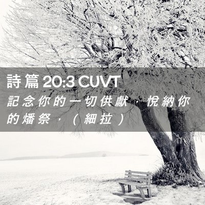 Picture 02 - 詩 篇 20:3 CUVT - 記 念 你 的 一 切 供 獻 ， 悅 納 你 - Bible Verse Picture
