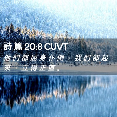 Picture 02 - 詩 篇 20:8 CUVT - 他 們 都 屈 身 仆 倒 ， 我 們 卻 起 - Bible Verse Picture