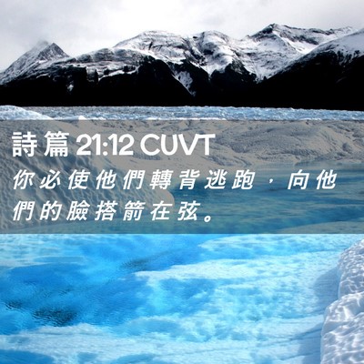 Picture 02 - 詩 篇 21:12 CUVT - 你 必 使 他 們 轉 背 逃 跑 ， 向 他 - Bible Verse Picture