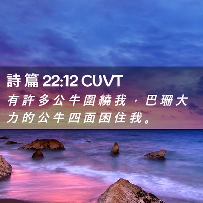 Picture 02 - 詩 篇 22:12 CUVT - 有 許 多 公 牛 圍 繞 我 ， 巴 珊 大 - Bible Verse Picture