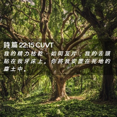 Picture 02 - 詩 篇 22:15 CUVT - 我 的 精 力 枯 乾 ， 如 同 瓦 片 ； - Bible Verse Picture