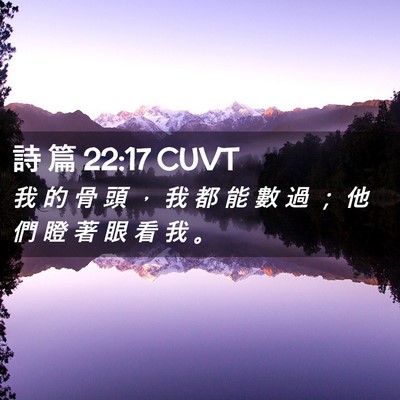 Picture 02 - 詩 篇 22:17 CUVT - 我 的 骨 頭 ， 我 都 能 數 過 ； 他 - Bible Verse Picture