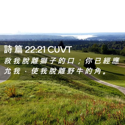 Picture 02 - 詩 篇 22:21 CUVT - 救 我 脫 離 獅 子 的 口 ； 你 已 經 - Bible Verse Picture