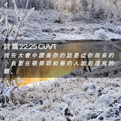 Picture 02 - 詩 篇 22:25 CUVT - 我 在 大 會 中 讚 美 你 的 話 是 從 - Bible Verse Picture