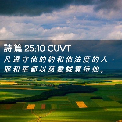 Picture 02 - 詩 篇 25:10 CUVT - 凡 遵 守 他 的 約 和 他 法 度 的 人 - Bible Verse Picture
