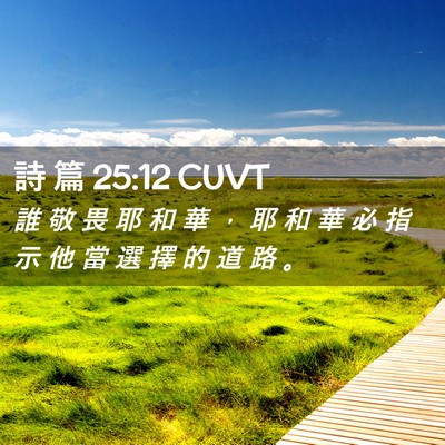 Picture 02 - 詩 篇 25:12 CUVT - 誰 敬 畏 耶 和 華 ， 耶 和 華 必 指 - Bible Verse Picture