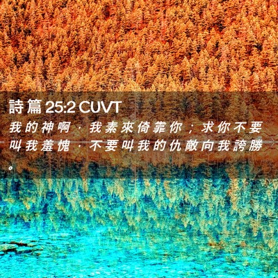 Picture 02 - 詩 篇 25:2 CUVT - 我 的 神 啊 ， 我 素 來 倚 靠 你 ； - Bible Verse Picture