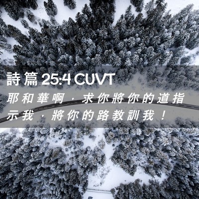 Picture 02 - 詩 篇 25:4 CUVT - 耶 和 華 啊 ， 求 你 將 你 的 道 指 - Bible Verse Picture