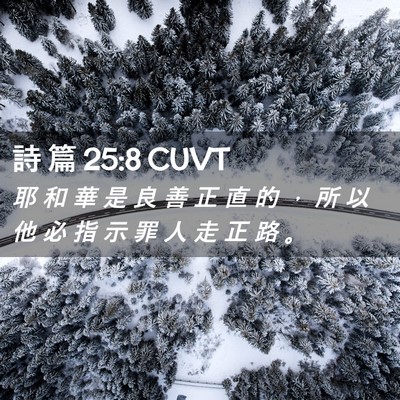 Picture 02 - 詩 篇 25:8 CUVT - 耶 和 華 是 良 善 正 直 的 ， 所 以 - Bible Verse Picture