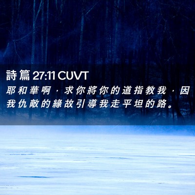 Picture 02 - 詩 篇 27:11 CUVT - 耶 和 華 啊 ， 求 你 將 你 的 道 指 - Bible Verse Picture