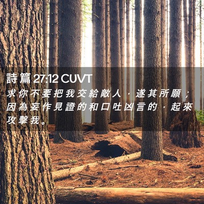 Picture 02 - 詩 篇 27:12 CUVT - 求 你 不 要 把 我 交 給 敵 人 ， 遂 - Bible Verse Picture