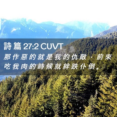 Picture 02 - 詩 篇 27:2 CUVT - 那 作 惡 的 就 是 我 的 仇 敵 ， 前 - Bible Verse Picture