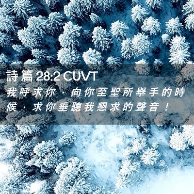 Picture 02 - 詩 篇 28:2 CUVT - 我 呼 求 你 ， 向 你 至 聖 所 舉 手 - Bible Verse Picture