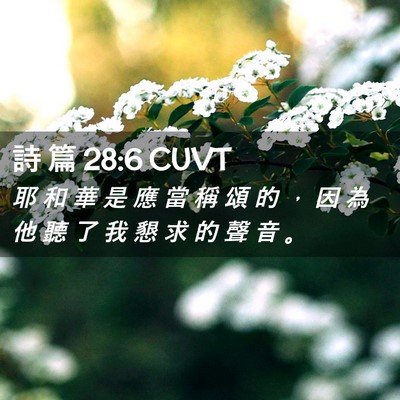 Picture 02 - 詩 篇 28:6 CUVT - 耶 和 華 是 應 當 稱 頌 的 ， 因 為 - Bible Verse Picture