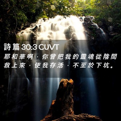 Picture 02 - 詩 篇 30:3 CUVT - 耶 和 華 啊 ， 你 曾 把 我 的 靈 魂 - Bible Verse Picture