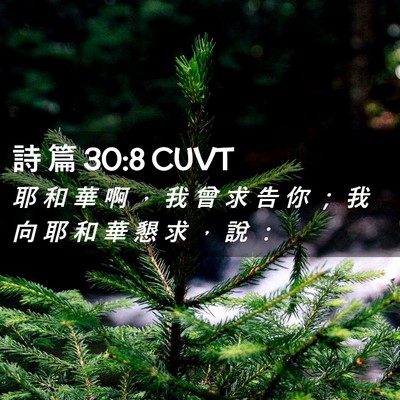 Picture 02 - 詩 篇 30:8 CUVT - 耶 和 華 啊 ， 我 曾 求 告 你 ； 我 - Bible Verse Picture