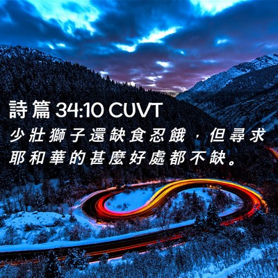 Picture 02 - 詩 篇 34:10 CUVT - 少 壯 獅 子 還 缺 食 忍 餓 ， 但 尋 - Bible Verse Picture