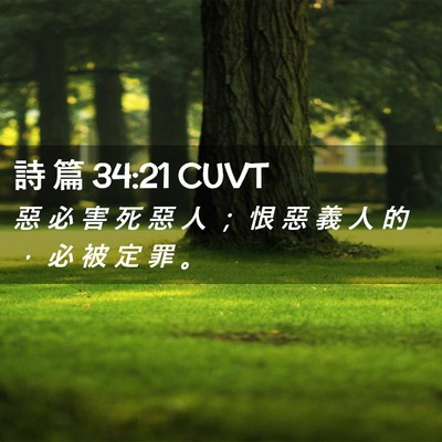 Picture 02 - 詩 篇 34:21 CUVT - 惡 必 害 死 惡 人 ； 恨 惡 義 人 的 - Bible Verse Picture