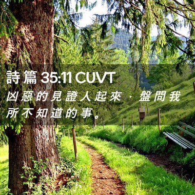 Picture 02 - 詩 篇 35:11 CUVT - 凶 惡 的 見 證 人 起 來 ， 盤 問 我 - Bible Verse Picture