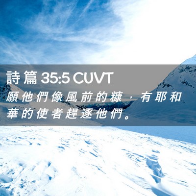 Picture 02 - 詩 篇 35:5 CUVT - 願 他 們 像 風 前 的 糠 ， 有 耶 和 - Bible Verse Picture