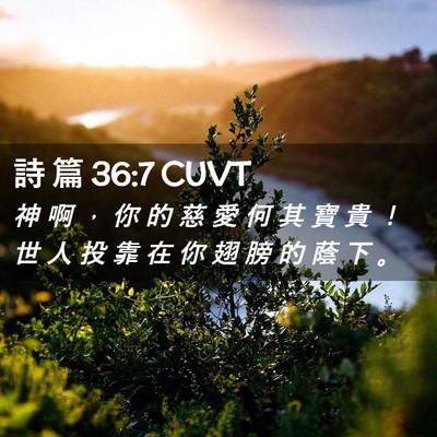 Picture 02 - 詩 篇 36:7 CUVT - 神 啊 ， 你 的 慈 愛 何 其 寶 貴 ！ - Bible Verse Picture