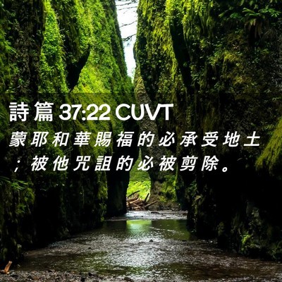 Picture 02 - 詩 篇 37:22 CUVT - 蒙 耶 和 華 賜 福 的 必 承 受 地 土 - Bible Verse Picture