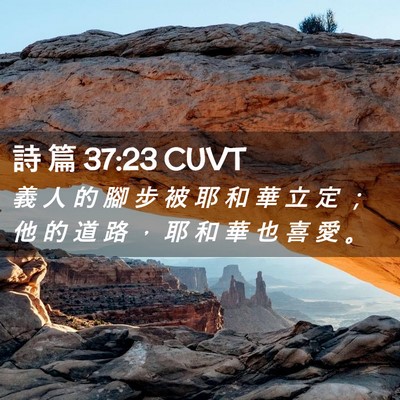 Picture 02 - 詩 篇 37:23 CUVT - 義 人 的 腳 步 被 耶 和 華 立 定 ； - Bible Verse Picture