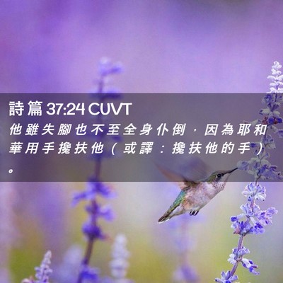 Picture 02 - 詩 篇 37:24 CUVT - 他 雖 失 腳 也 不 至 全 身 仆 倒 ， - Bible Verse Picture