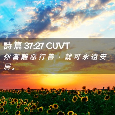 Picture 02 - 詩 篇 37:27 CUVT - 你 當 離 惡 行 善 ， 就 可 永 遠 安 - Bible Verse Picture