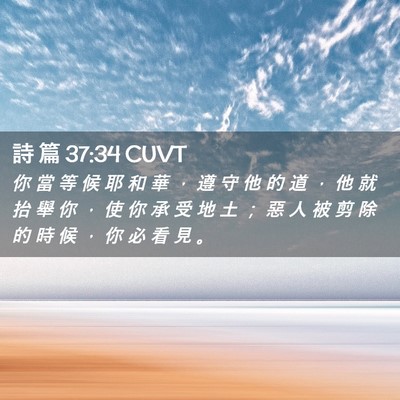 Picture 02 - 詩 篇 37:34 CUVT - 你 當 等 候 耶 和 華 ， 遵 守 他 的 - Bible Verse Picture