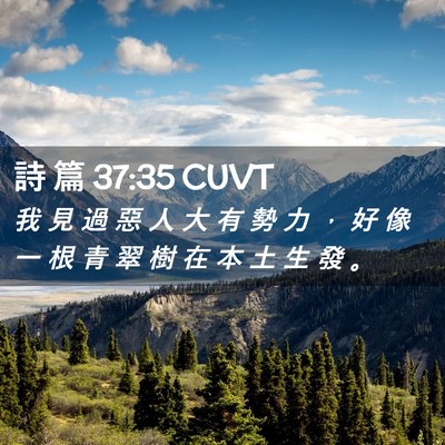 Picture 02 - 詩 篇 37:35 CUVT - 我 見 過 惡 人 大 有 勢 力 ， 好 像 - Bible Verse Picture